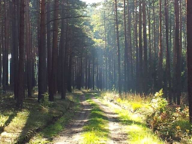 Дома для отпуска Stawy u Sikory. Agroturystyka i łowisko Nowa Wieś-27