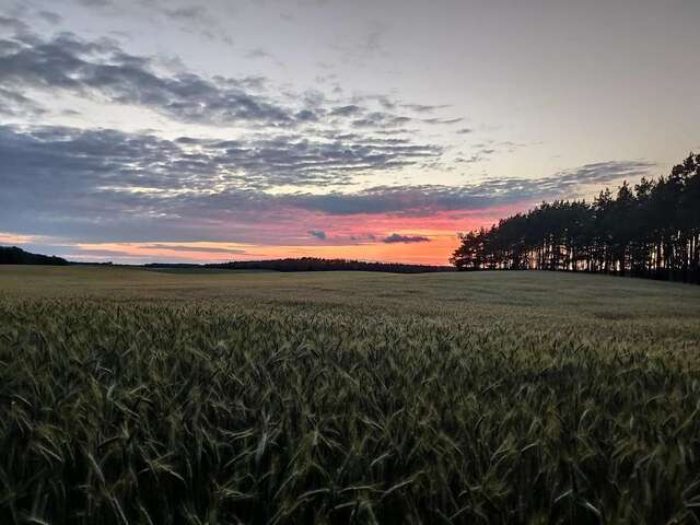 Дома для отпуска Stawy u Sikory. Agroturystyka i łowisko Nowa Wieś-29
