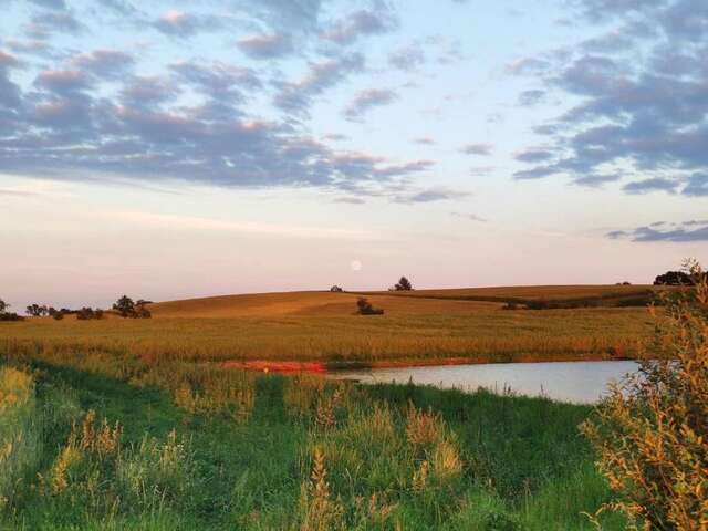 Дома для отпуска Stawy u Sikory. Agroturystyka i łowisko Nowa Wieś-44